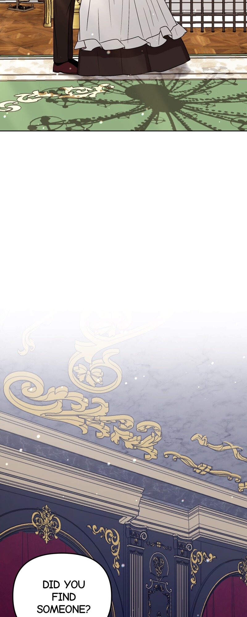 52882866 800 2000 218519